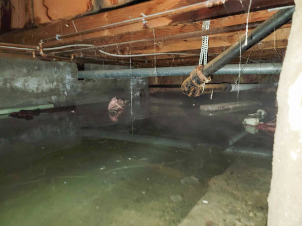 Best Residential water damage restoration  in Livonia, MI
