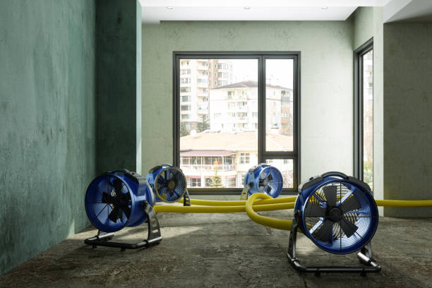 Best Water damage restoration mold remediation  in Livonia, MI